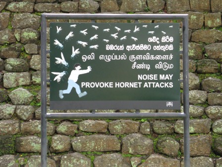 Hornet's nest sign at Sigiraya.