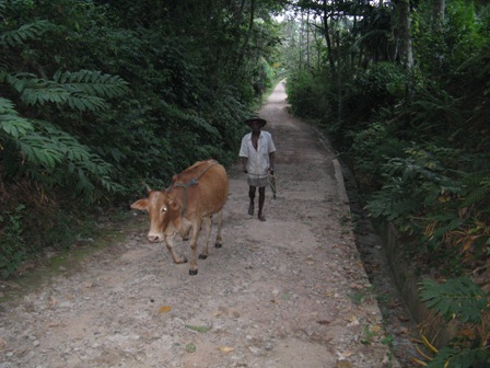 Koongaha Junction at Gandwara village near Tallala.
