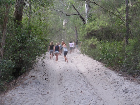 Typical Fraser Island track during a very dry season.