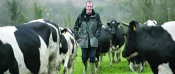 Ralph Haslam with a few of his prized cows.