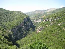 Loussios River Gorge below Dimitsana.