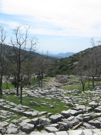 View to south from Temple of Bassae.