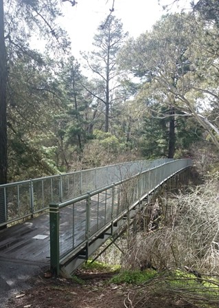 Hepburn Springs footbridge into the bush