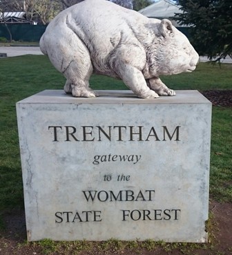 Wombat Hill wombat statue in Trentham