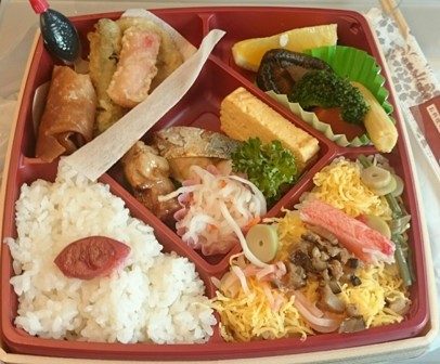 Ekiben lunch on Shinkansen