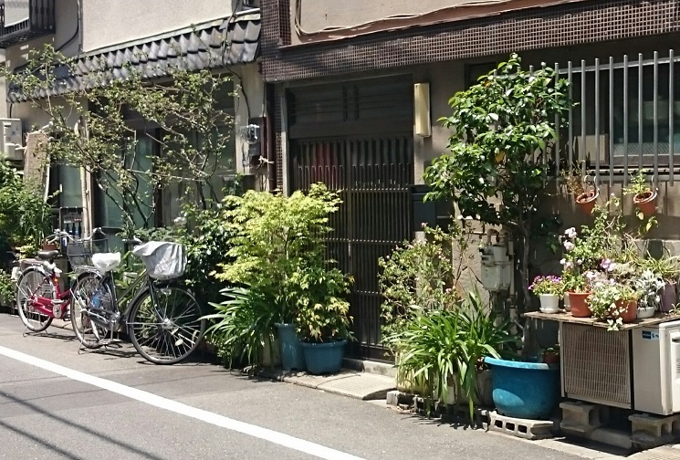 Asakusa street scene