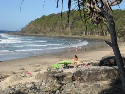 Noshing Round Noosa